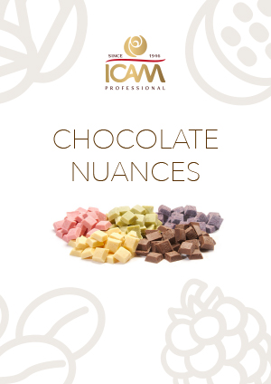 Brochure chocolate nuanche