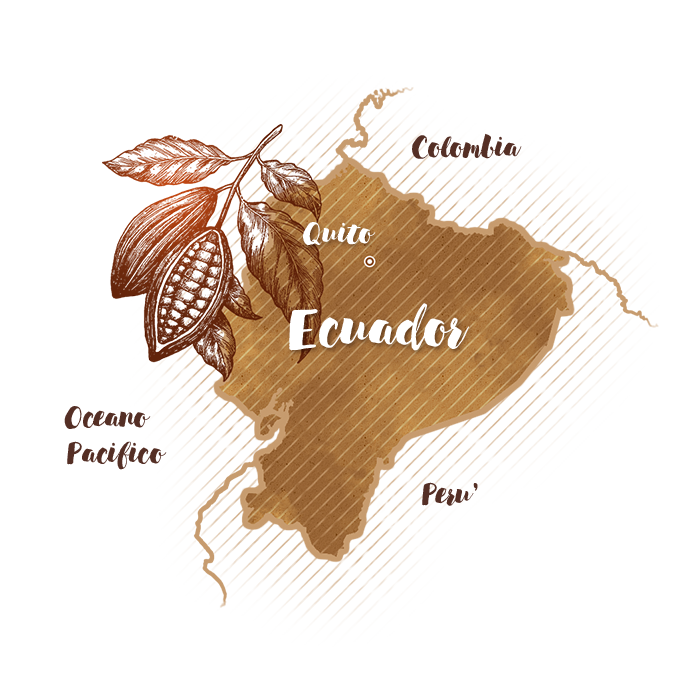Ecuador Nacional Arriba: fine, aromatic cocoa