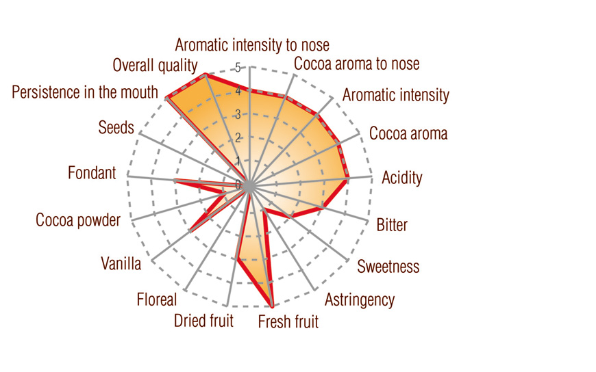 Dark Grand Cru Los Vasquez Dominican Origin Full taste profile
