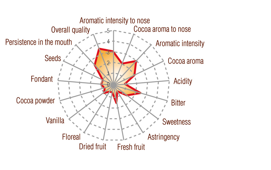 Dark Intense Pro Full taste profile