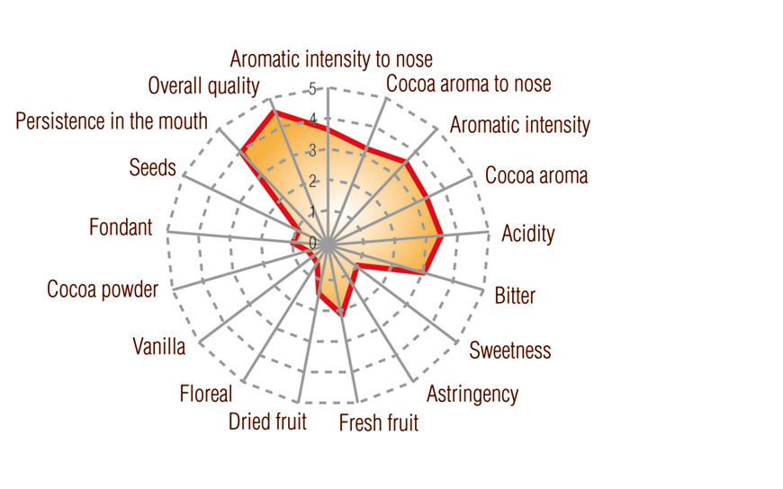 Grand Cru Cocoa Paste Los Bejucos Dominican Origin Full taste profile