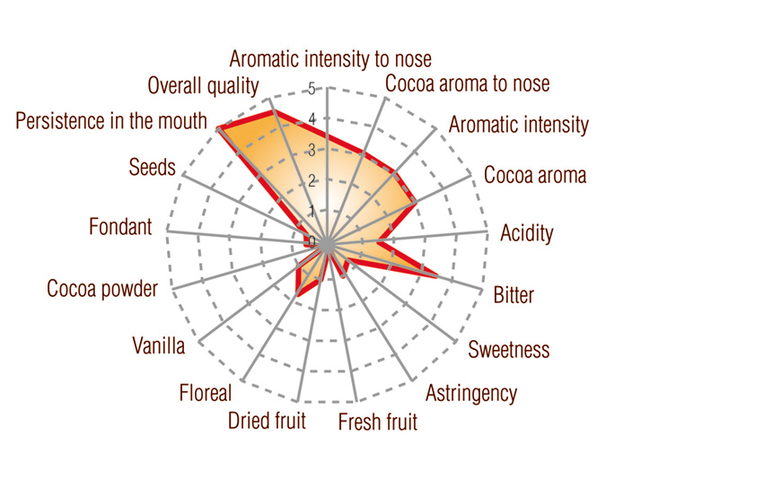 Nacional Arriba Cocoa Paste Single-origin Ecuador Full taste profile