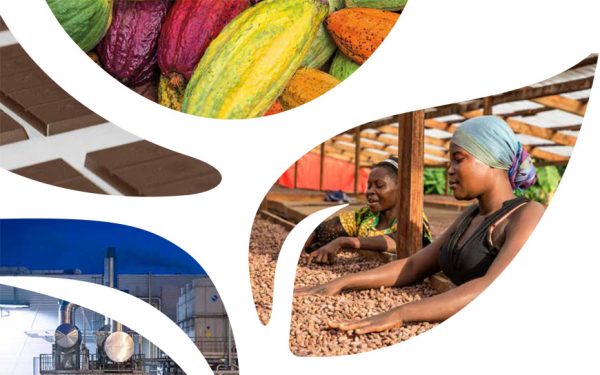 ICAM Cioccolato issues its first sustainability report